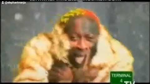 elephant man