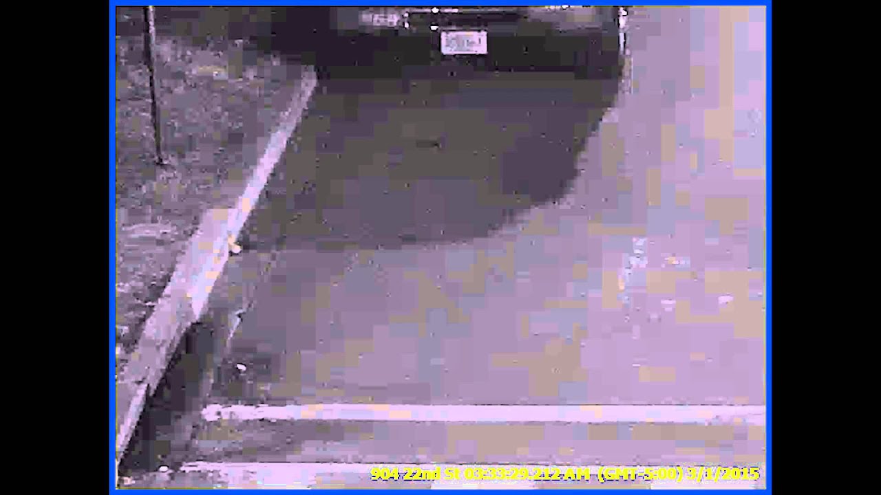 Persons and Vehicle of Interest in Armed Robbery, 22nd and Maryland Ave, NE, on March 1, 2015 videos for cats