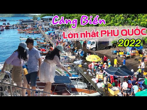 Khám phá Cảng Biển Lớn Nhất Phú Quốc – 1 bên du lịch, 1 bên cảng cá