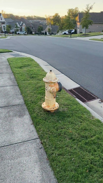 🇺🇸 Walking in an American Neighborhood