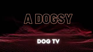 A_dogsy chanel by A dogsy 5 views 2 months ago 42 seconds