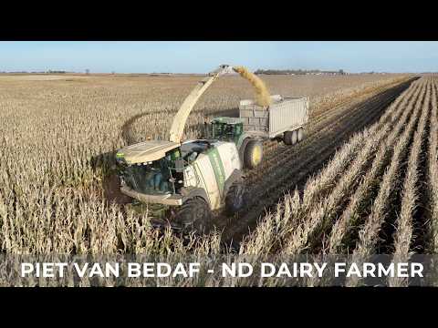Finishing Up Earlage Harvest (263)