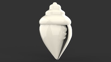 how to model conch shell in 3d maya #3dmodeling