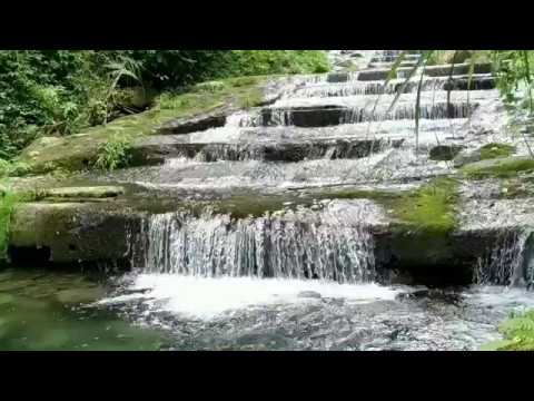 張艾嘉-流水 akkorde