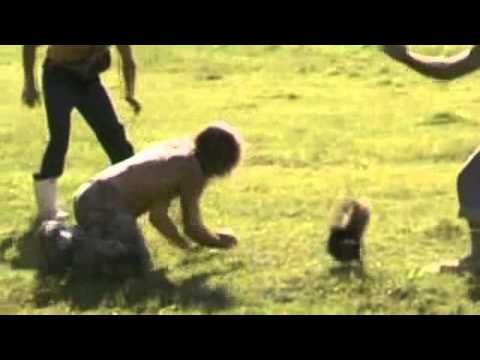 Wildboyz Catching Skunk (Wildboyz in Louisiana)
