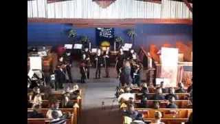 Senior Strings Ensembles Concert March 2014