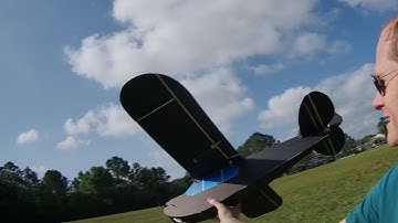 FT Simple Cub Maiden from Live Build