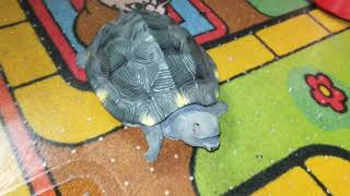Slog-The Crawling, Singing Tortoise Turtle