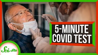 Cheap, Fast, Easy, AND Accurate? New COVID Test Might Do it All | SciShow News