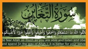 سورة التغابن | جمال الدين عباس | طيبة النشر | The Mutual Disillusion
