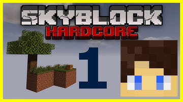 HARDCORE SkyBlock - New Beginnings #1