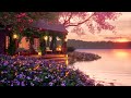 Springtime sunset ambience cozy lake cottage relaxation 8 hours nature sounds
