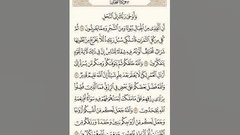 [ #قرآن كريم : بصوت الشيخ ياسر الدوسري : سورة النحل ] [ #تلاوة خاشعة ] [ #اكسبلور ] [ #قرآن Short#]
