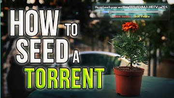 How to Seed a Torrent (Concept video)