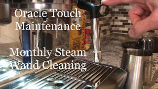 Breville Oracle Touch Maintenance - Monthly steam wand cleaning - Fix frothing issues