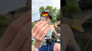 Klick Hier Junge Ist Der Groß