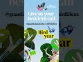 Greens leader Larissa Waters backs Gouldian finch in Guardian Australia's Bird of the Year poll
