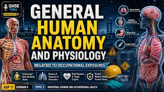 Information ASP 11 Domain 6 Topic 3 | Human Anatomy & Physiology for Occupational Exposures Guide