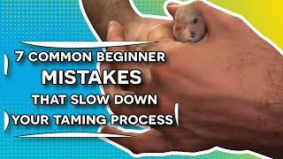 7 Common beginner mistakes that slow down your bird taming process!