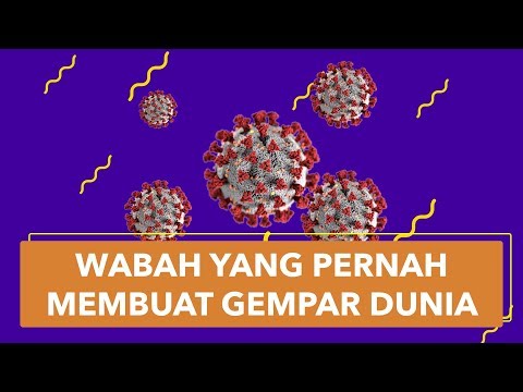 Video: Apakah kolera dibuat oleh manusia?