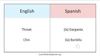 Spanish Anatomy - Head & Face