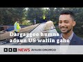 Kiyyaa Sanyii Injinara Aduu Soolaar Hundeesse BBC News Afaan Oromoo Kiyyaa Sanyii Injinara Aduu Soolaar Hundeesse BBC News Afaan Oromoo