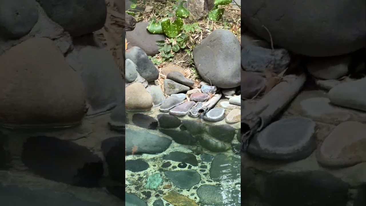 Kameya Ryokan at Togura Kamiyamada Onsen♨️ - YouTube