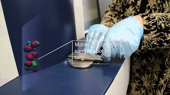 Theory of MALDI-TOF Mass Spectrometry