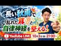 【第7回】長い秋雨で乱れた耳(めまい、耳鳴り、聴覚過敏、狭窄)と自律神経を一緒に整えます‼︎