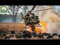 How American Hunters and Farmers Deal With 9 Million Wild Boars By Helicopters and Guns