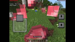 Minecraft Forever World (Part 2)