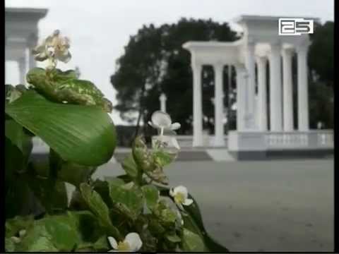 ბათუმის ბულვარმა 12 ვაკანსიაზე კონკურსი გამოაცხადა