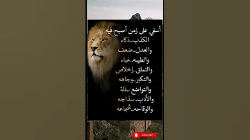 حكمة عن الحياة كلام من ذهب 