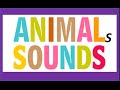 Animal Sounds and Behaviors