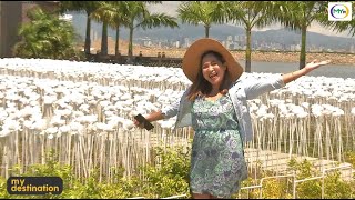 My Destination: Discover Cordova - show video thumbnail