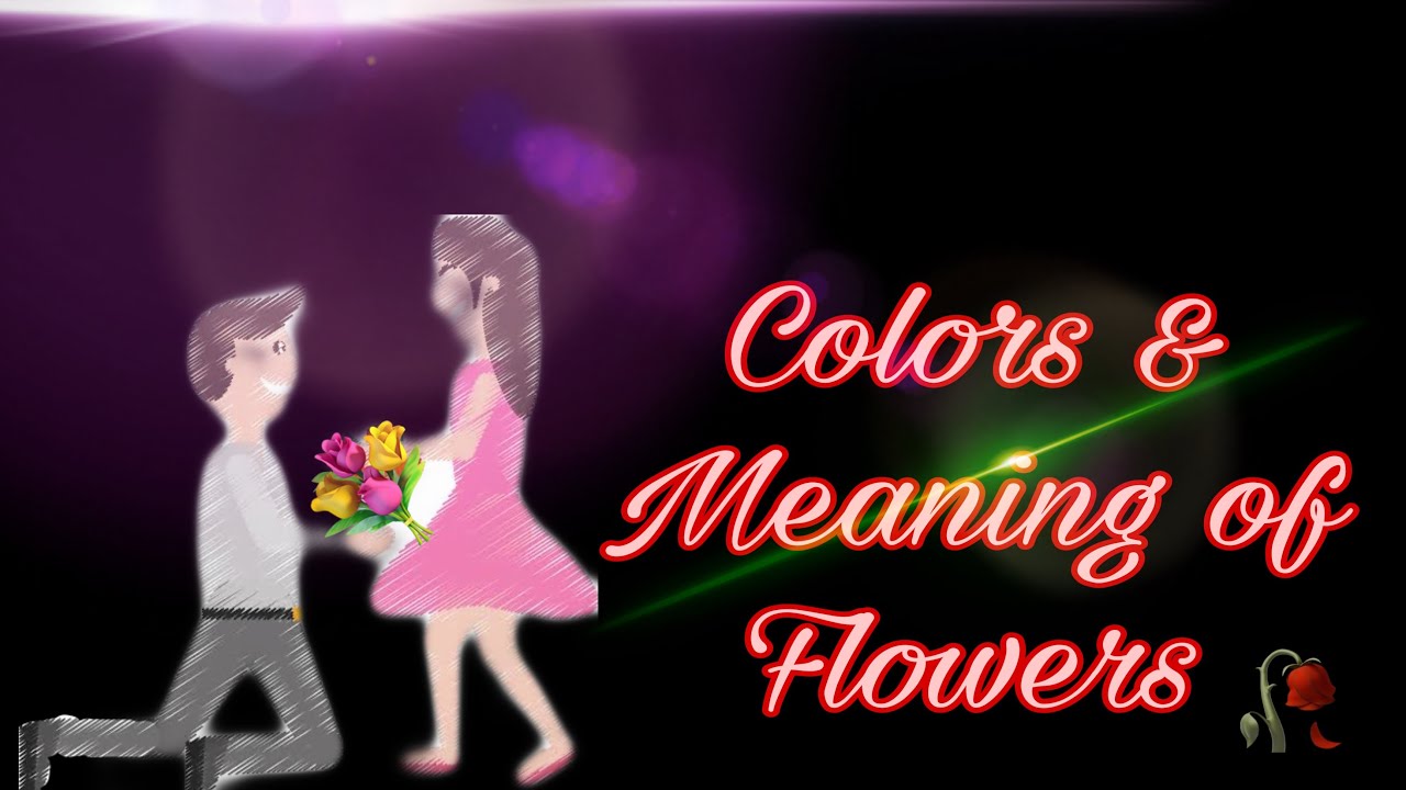 HAPPY HEARTS DAY! VALENTINE TIP! MEANING/COLORS OF FLOWERS 🌺