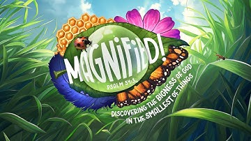 MAGNIFIED | VBS 2025 Highlight