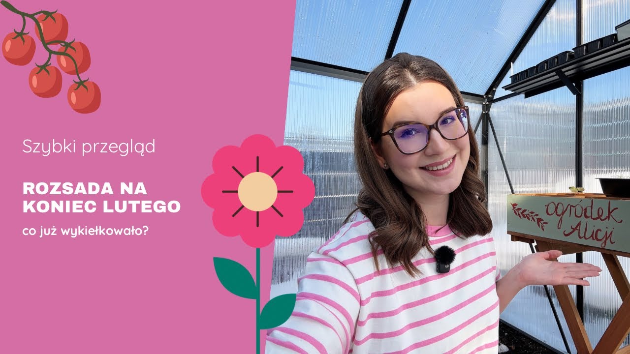 Szybki przegląd rozsad na koniec lutego 🌱