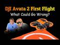 DJI Avata 2 First Flight - Did it End in Tears?