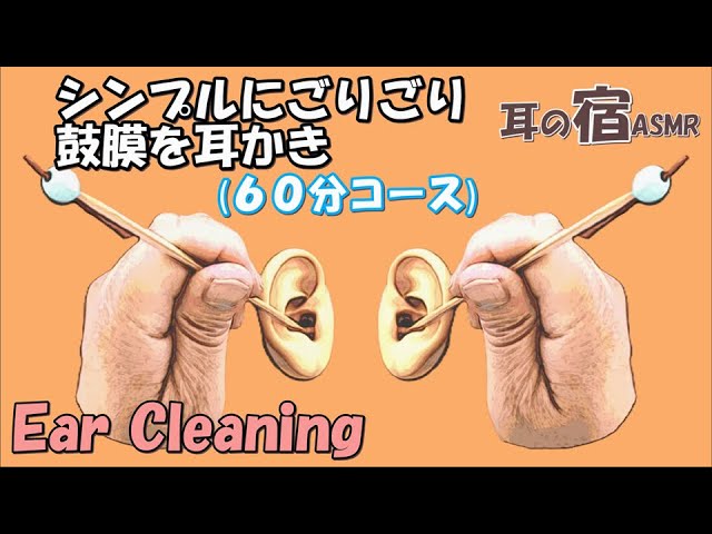 【ASMR】シンプルにごりごり鼓膜を耳かき６０分コース Ear cleaning【No Talking】