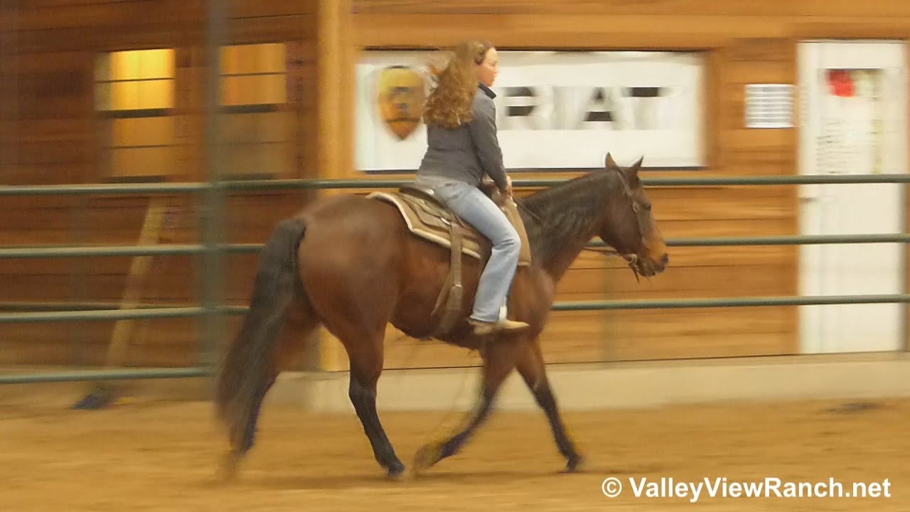 DJ Dragin Bottom - riding in indoor arena #1 - Valley View Ranch