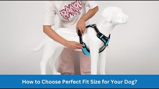 How to choose Perfect Fit Size Harness for Your Dog? screenshot 1