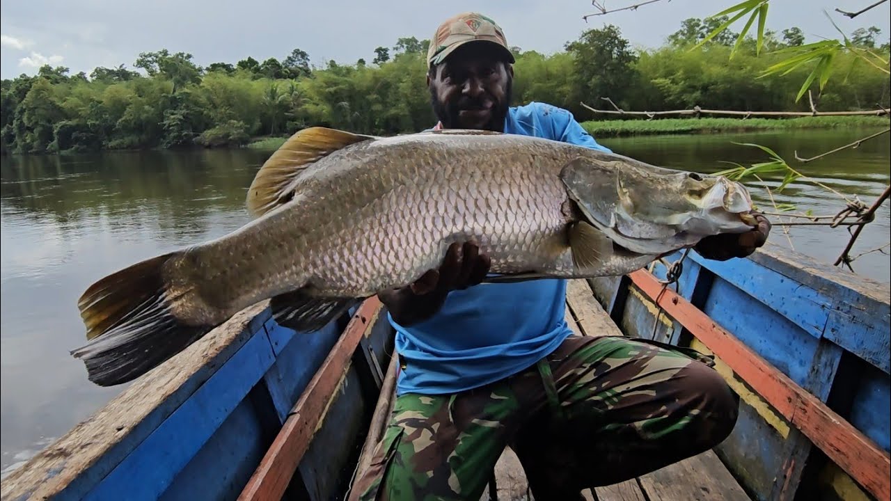Amazing! Fishing got giant barramundi