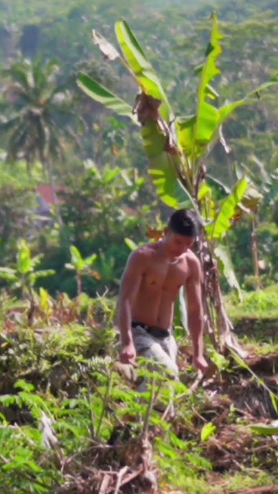 collecting twigs #rezafikkk #survival #nature