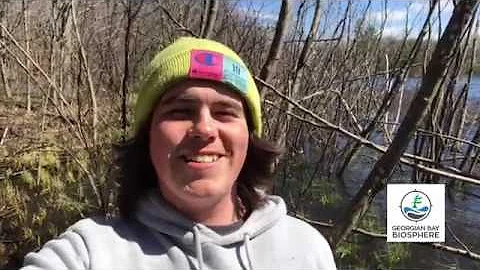 Language with Dawson: Birds in Anishinaabemowin Part 2