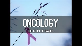 Vocabulary Lessons - English Ologies screenshot 3