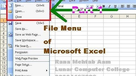 1 - How to Use The File Menu In Ms Excel 2003 in Urdu/Hindi - Part 1 - Lunar Computer College