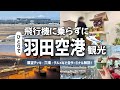 羽田空港を1日観光!グルメ・展望デッキ・穴場スポットを巡る✈️