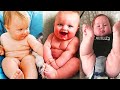 Cutest Chubby Babies Compilation - Funny Baby Videos