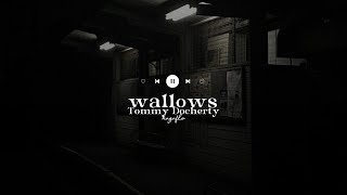 wallows  ⋆  tommy docherty  ( lyrics )
